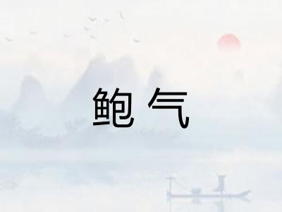 鲍气