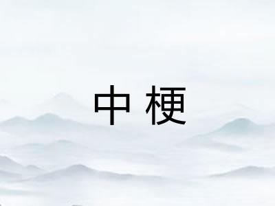 中梗