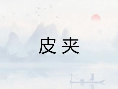 皮夹