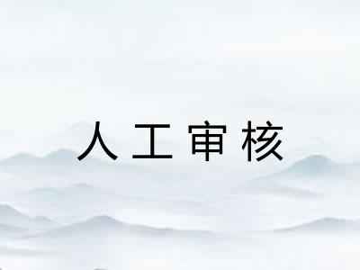 人工审核