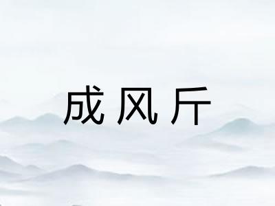 成风斤