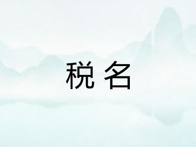 税名