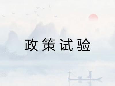 政策试验