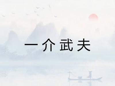 一介武夫