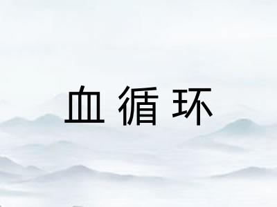 血循环