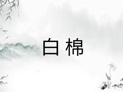 白棉