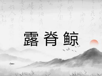 露脊鲸