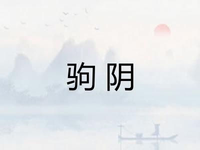 驹阴