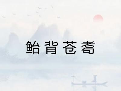 鲐背苍耈