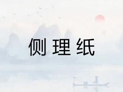 侧理纸