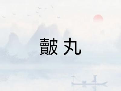 皾丸