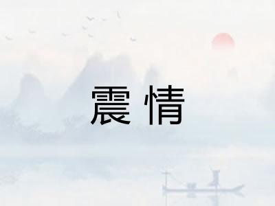 震情