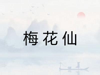 梅花仙