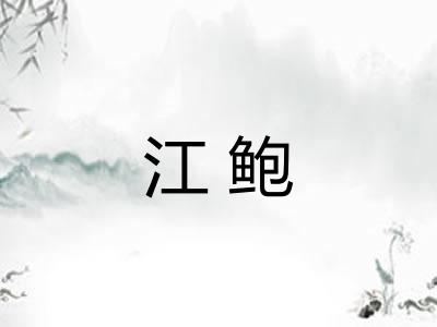 江鲍