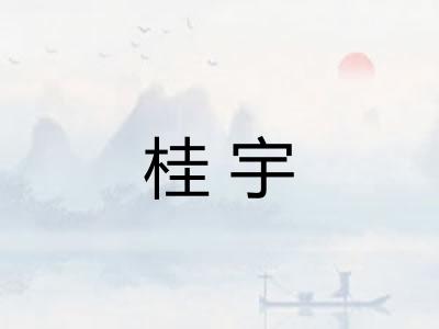 桂宇