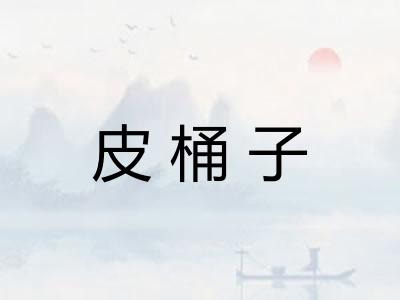 皮桶子