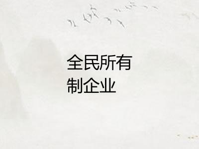 全民所有制企业