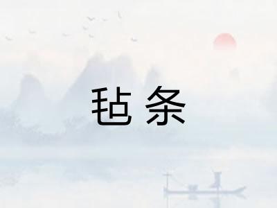 毡条