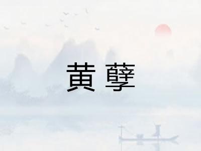 黄孽