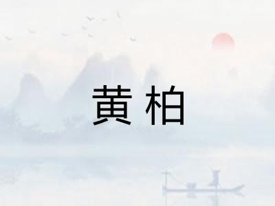 黄柏