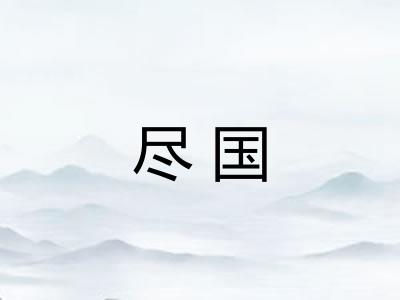 尽国