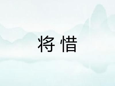 将惜