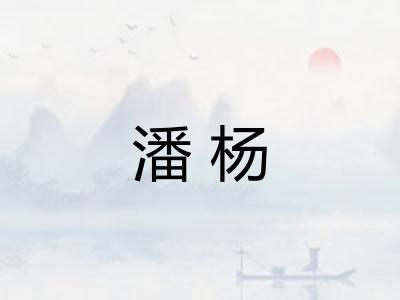 潘杨