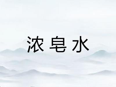 浓皂水