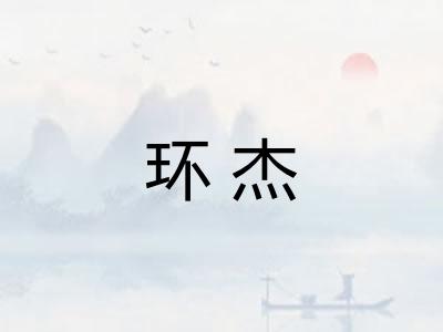 环杰