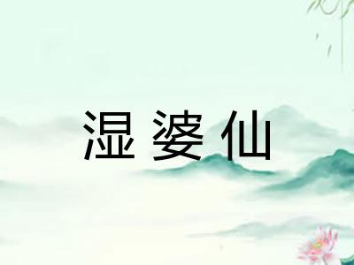 湿婆仙