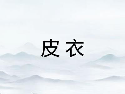 皮衣