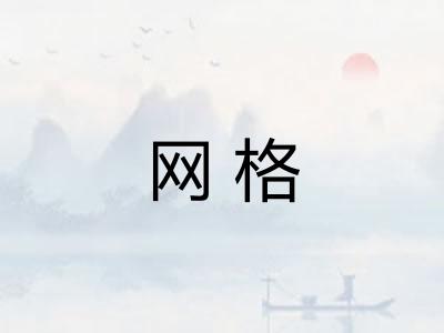 网格