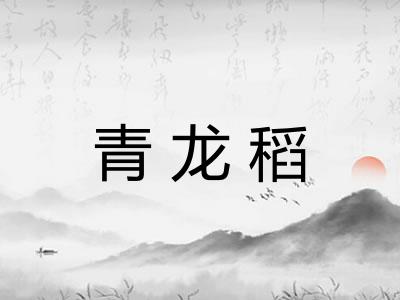 青龙稻