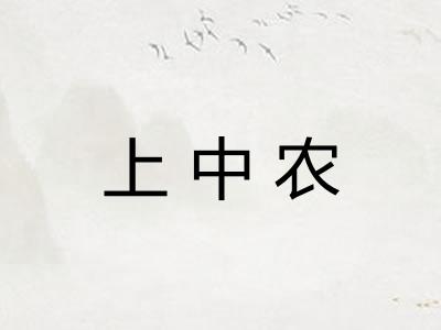 上中农