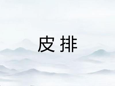 皮排