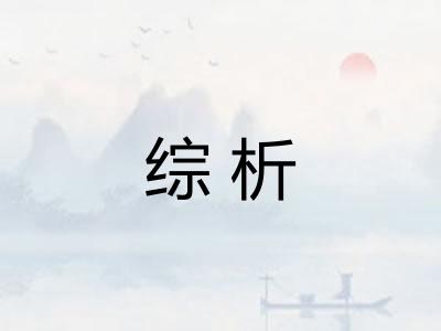 综析