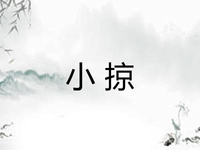 小掠