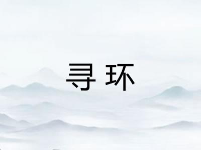 寻环