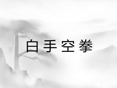 白手空拳