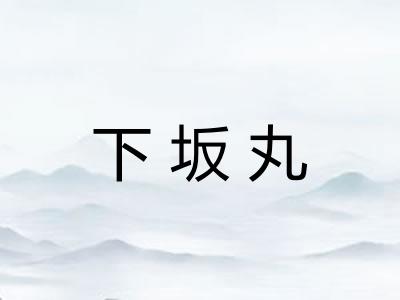 下坂丸