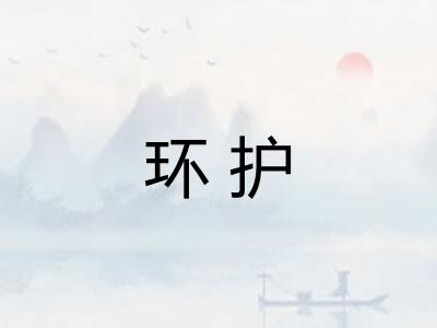 环护