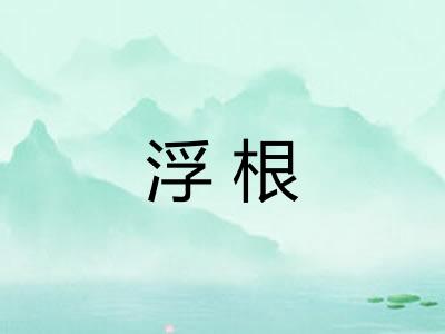 浮根