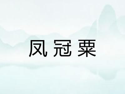 凤冠粟