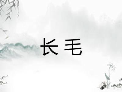 长毛