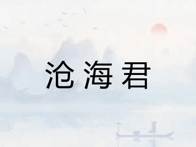 沧海君