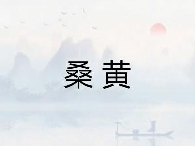 桑黄