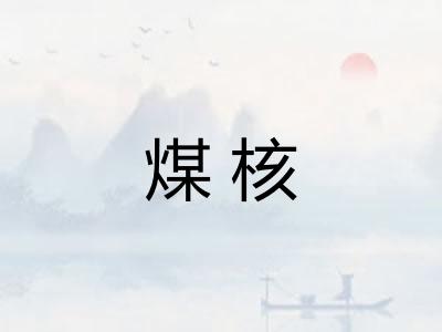 煤核