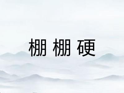 棚棚硬