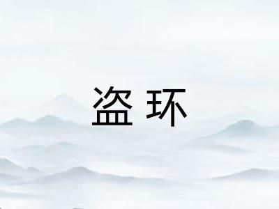 盗环