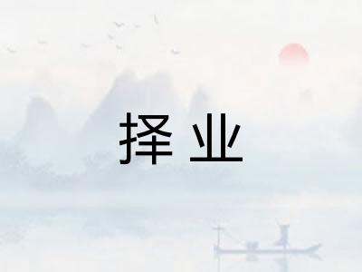 择业